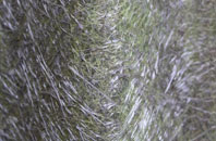 Burn Bridge fibreglass roof work